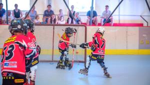 Produkcija Bakster -  RCU Lukovica (3)